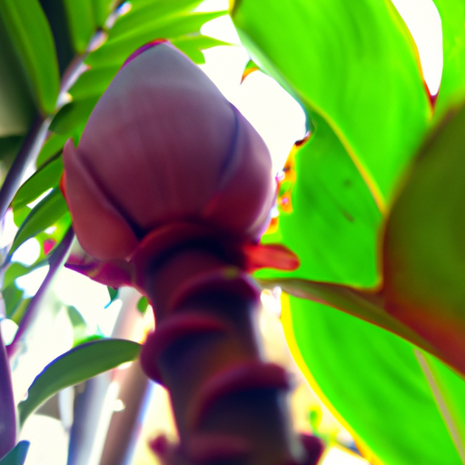 Pentingnya Kebersihan.